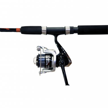 Lineaeffe Spinning Combo
