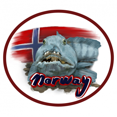"Norway" Patch