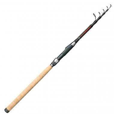 Paladin Masterclass all-purpose weapon 
