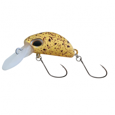 Paladin Mister Bean (floating, C)