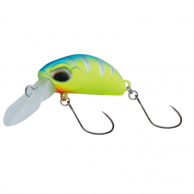 Paladin Mister Bean (floating, D)