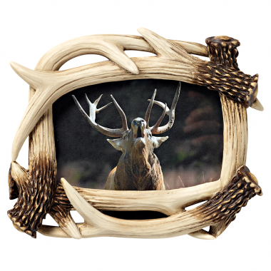 Picture Frame in Antler Optic