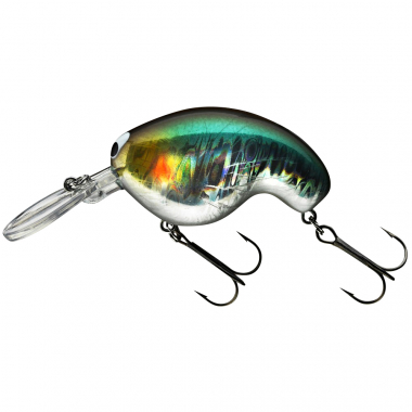 Prorex Fuku 1 Crank (special shiner)