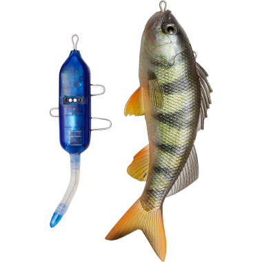 Pulz Bait Perch Kit (Natural Perch)