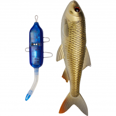 Pulz Bait Roach Kit (Crucian Carp)