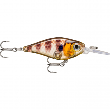 Rapala X-Light Shad (Glassy Gill UV)