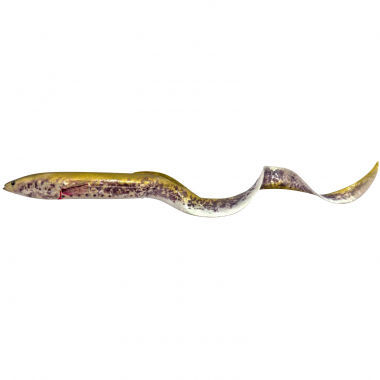 Savage Gear Real Eel (Chameleon Eel)