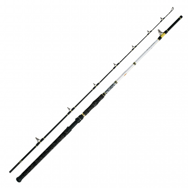 WFT Fishing Rod Catbuster Spin