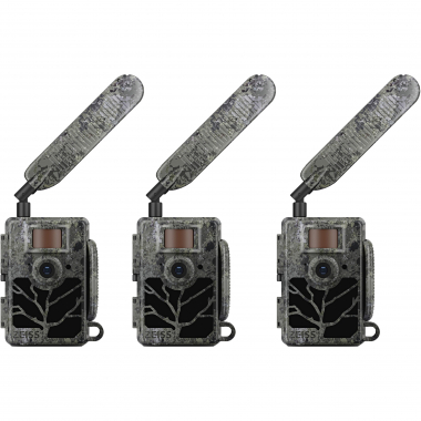 Wildlife Camera Secacam 5 (pack of 3)