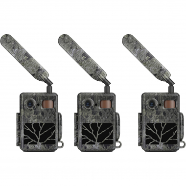 Wildlife Camera Secacam 7 (pack of 3)