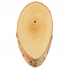 Birch wood trophy board (slice)