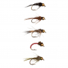 Dragon Fly Goldhead Nymph Set Fly Assortment