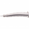 Gulp!® Saltwater Sandworm 
