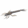Nays DRGN (C-36) 3.5