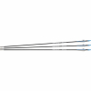 NXG Fiberglass arrows (length: 30")