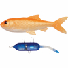 Pulz Bait Roach Kit (Gold Fish) 