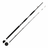WFT WFT Carbon Never Crack Bank Cat Rod 