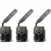 Wildlife Camera Secacam 5 (pack of 3) 