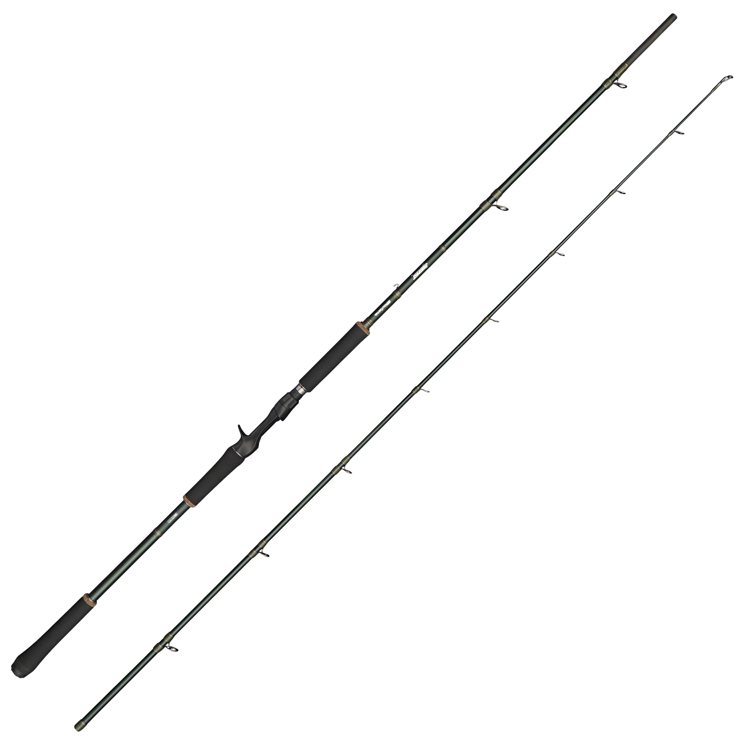 Abu Garcia Beast X Casting 
