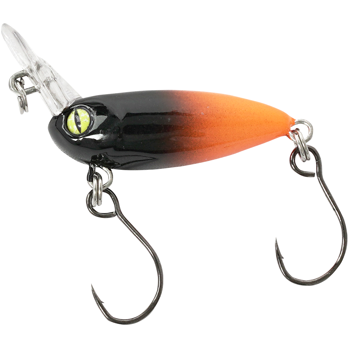 Balzer Billy Beetle (Orange/Black) 