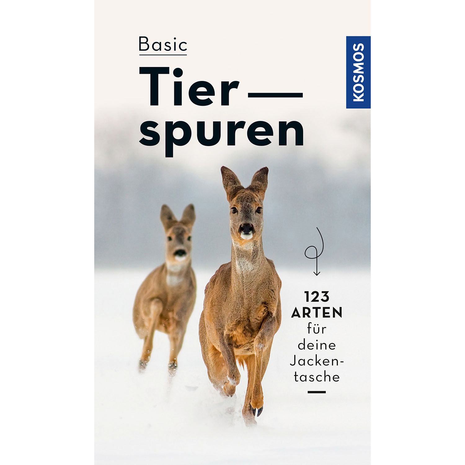 Basic animal tracks - easy and safe recognition 