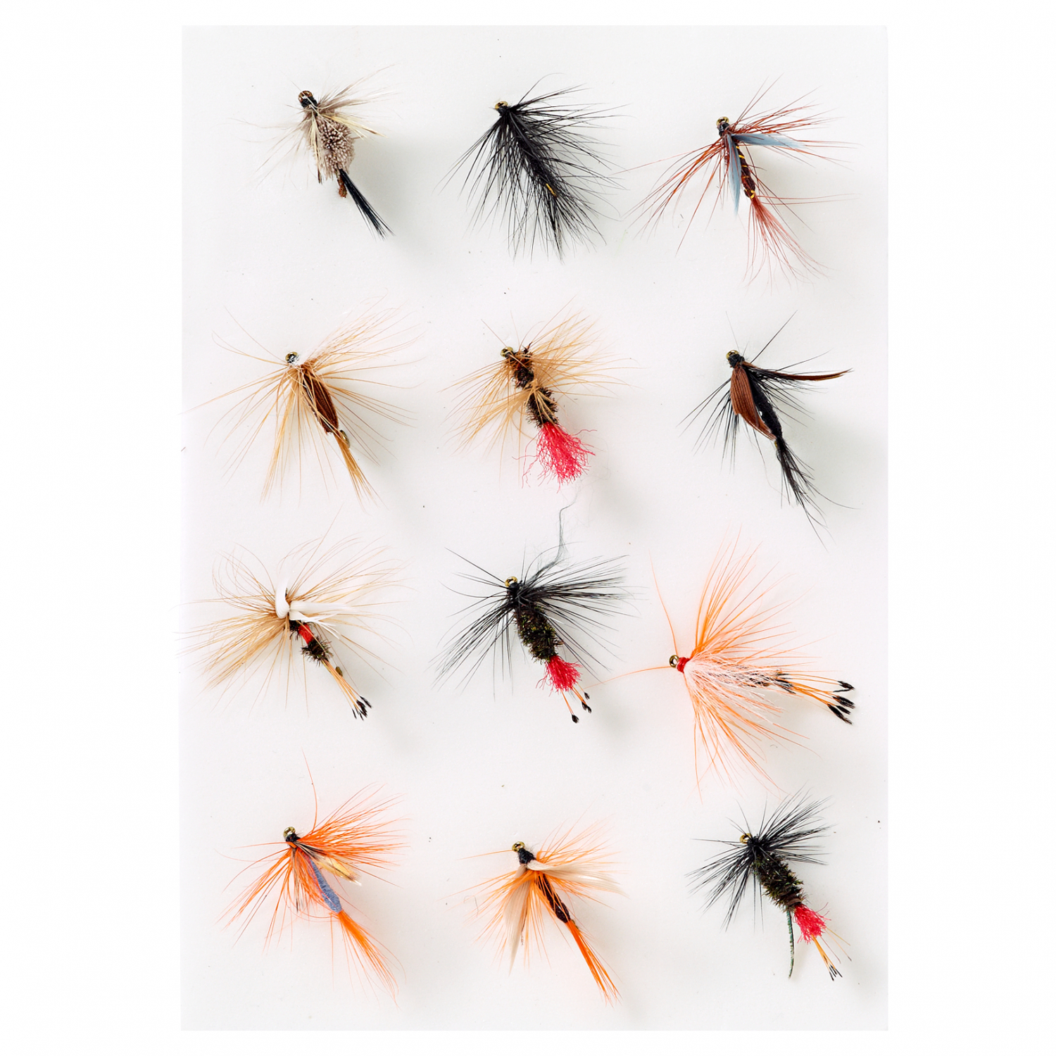 Behr Dry Fly Assortment Eco 