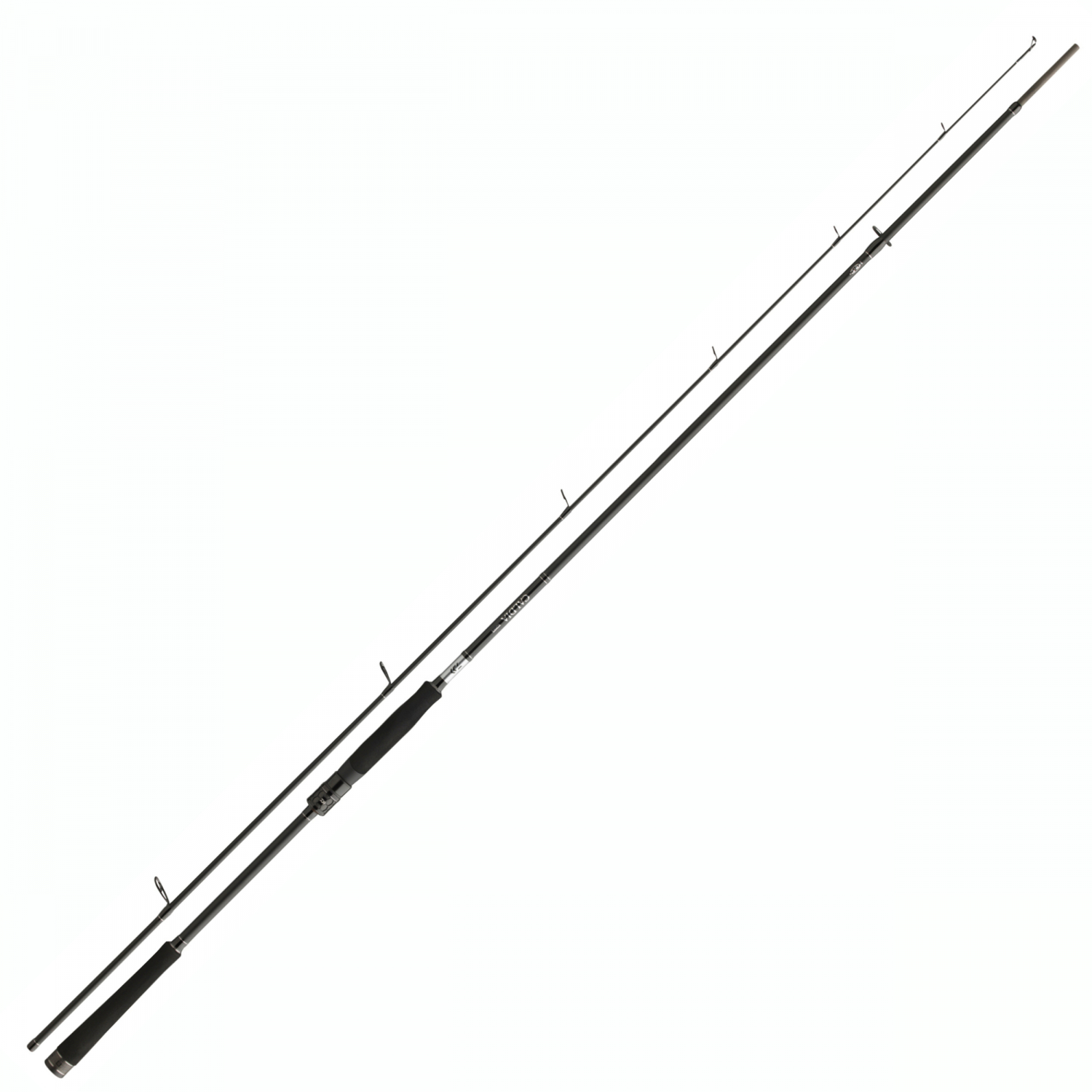 Daiwa Caldia Spin 