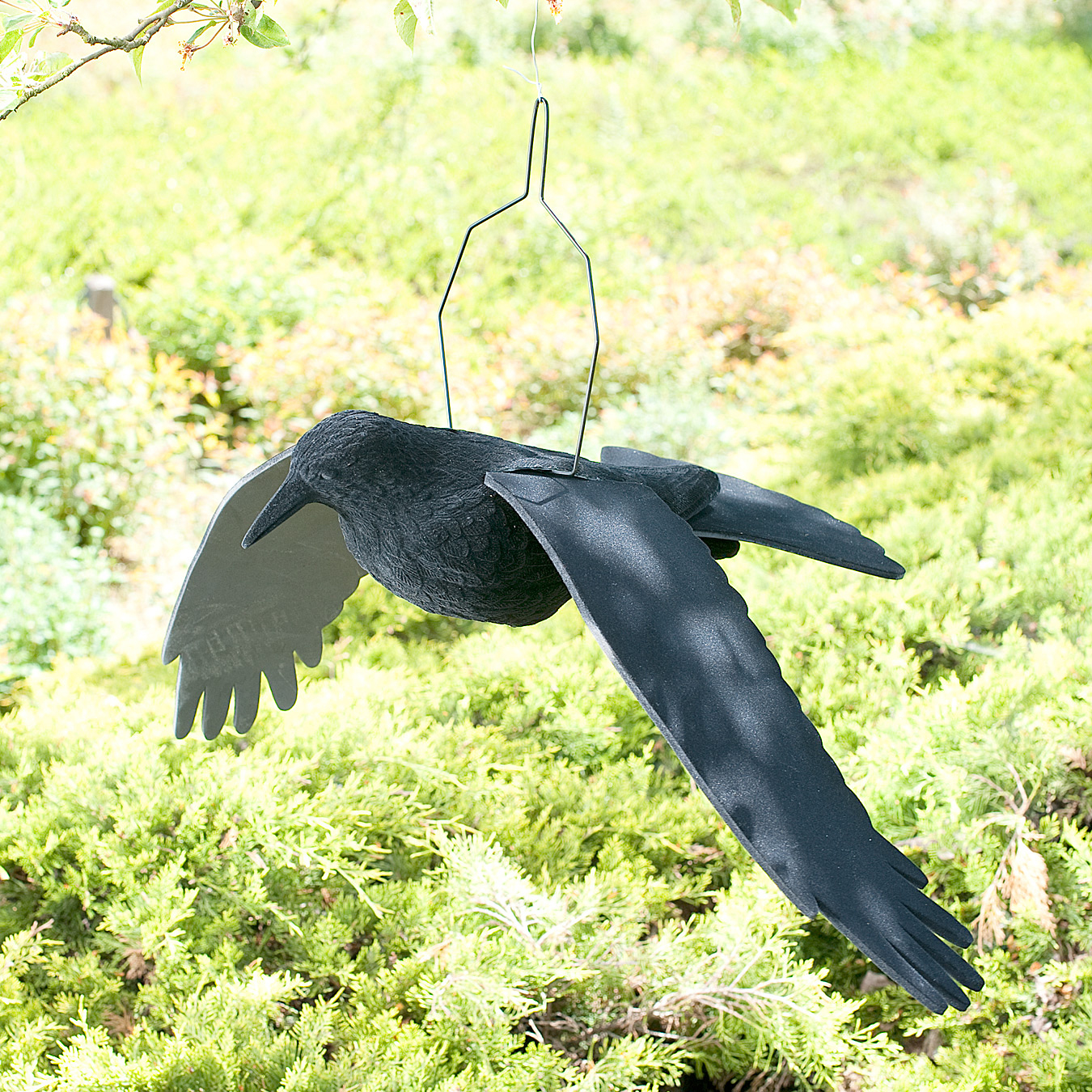 Flying carrion crow decoy (flocked) 
