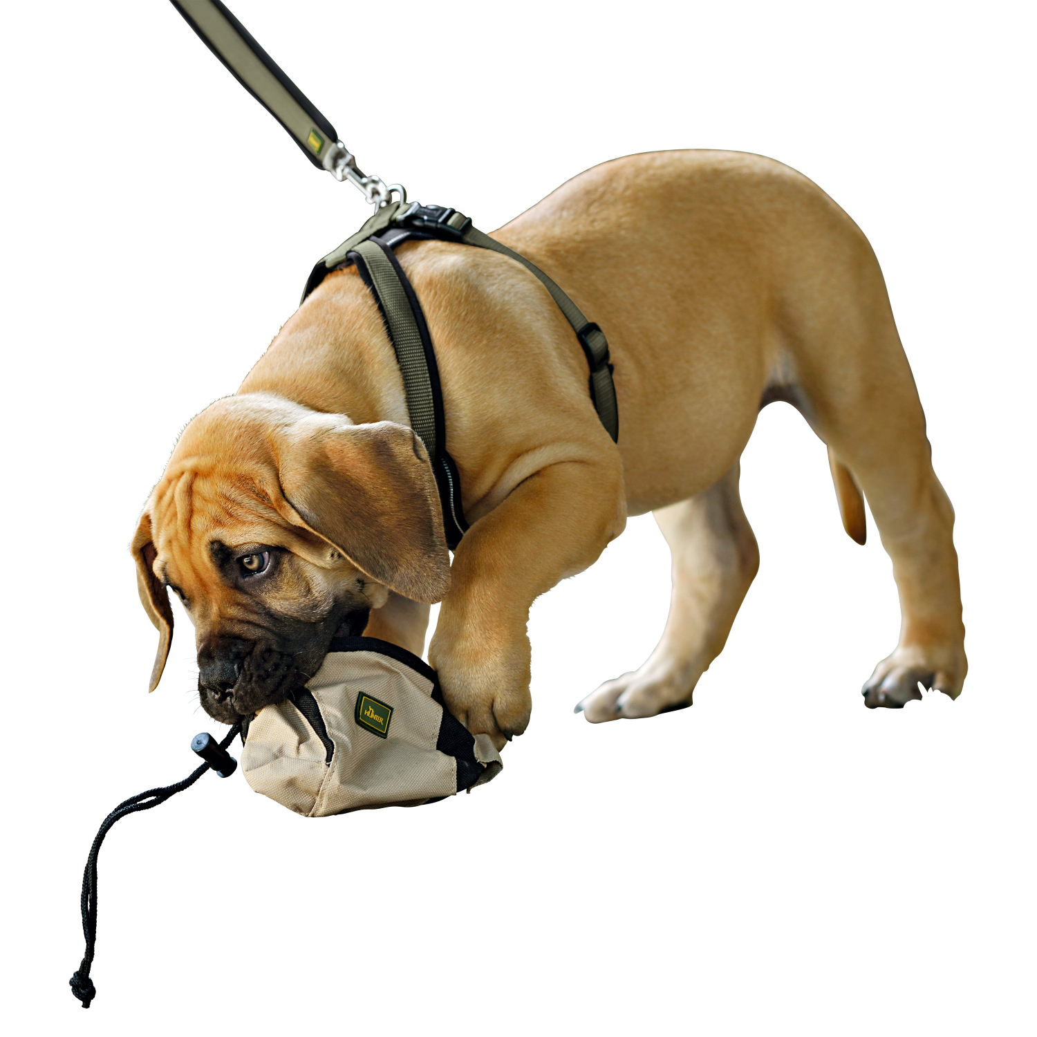 Hunter Dog Hunter Belt Bag Bugrino Profi 