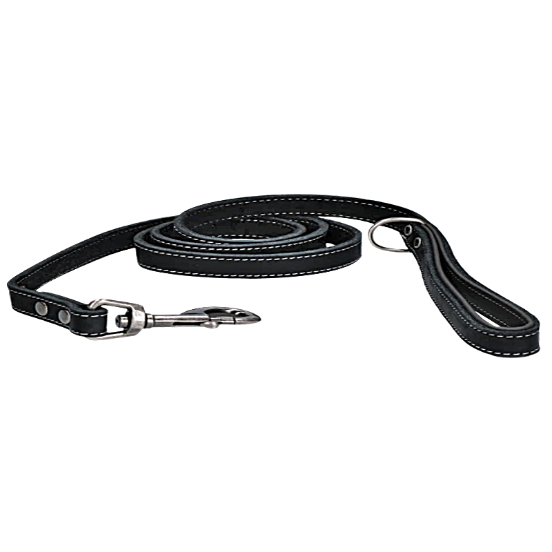 Leather dog leash 