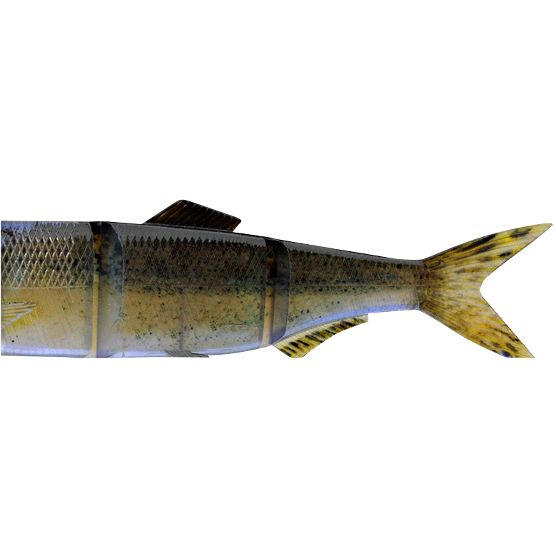 Prorex Hybrid Swimbait Replacement Tails (3D Baby Zander) 