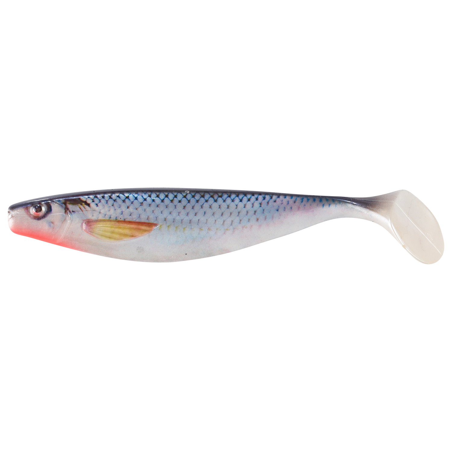 Shirasu Shad Photo Print 3D (Coarse Fish) 