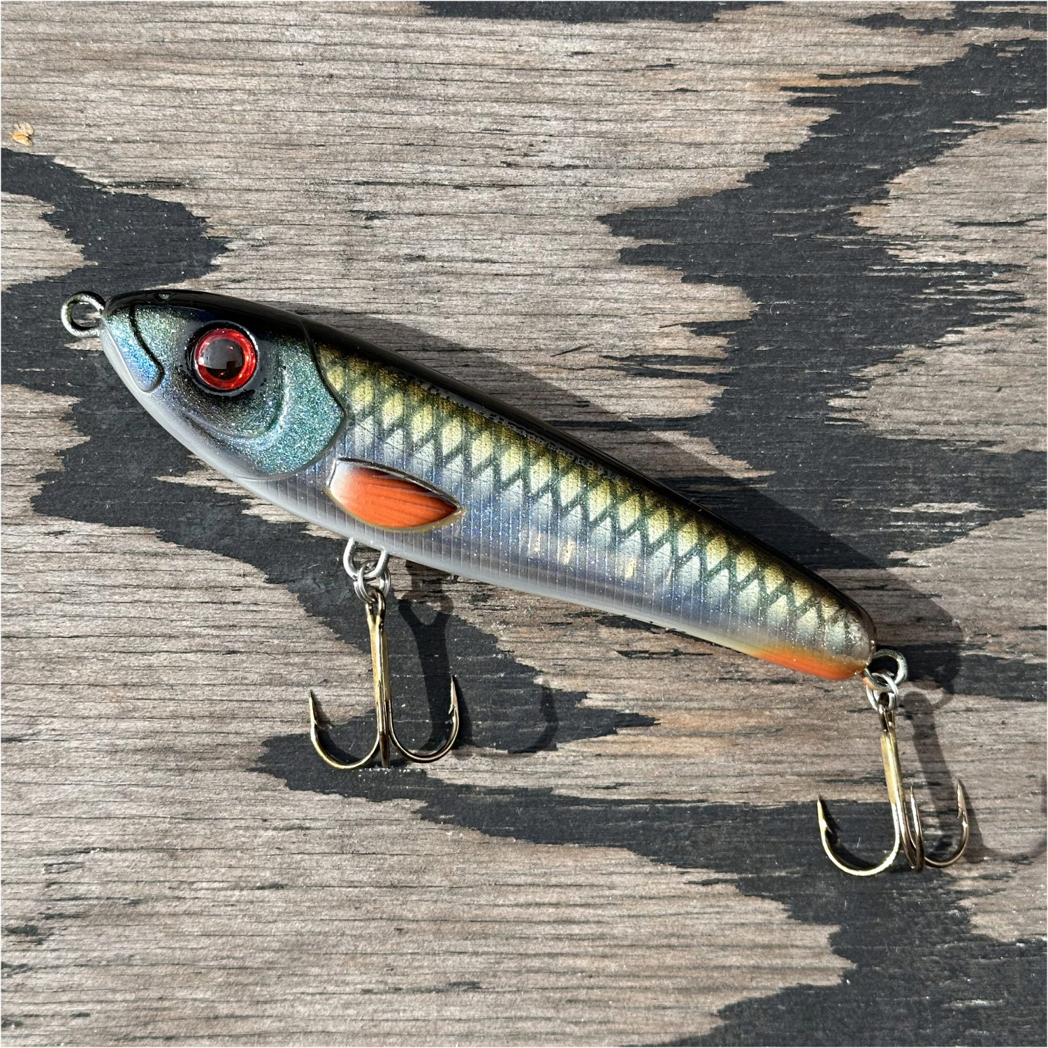 Wolfcreek Skinny Wolf (Real Roach) 