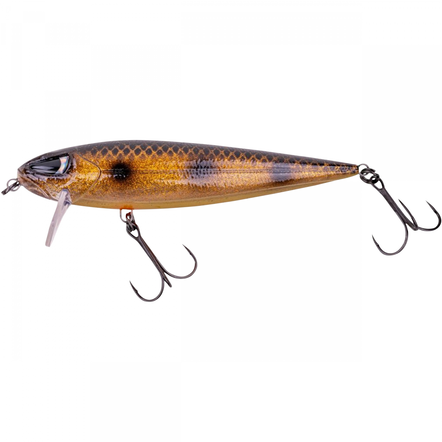 Zeck Dundee (Spotted Bullhead) 