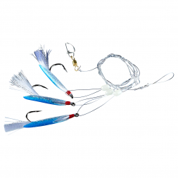 71° North cod and coalfish system (blue)
