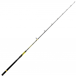 Black Cat Fishing Rod Perfection Passion Vertical