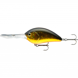  Steez Crank 700 (Black Gold)
