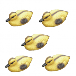  Duckling Decoys (5 as a set)