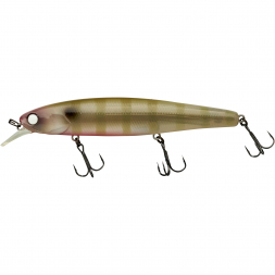  Arnaud 110 F (Dying Blue Gill)
