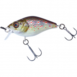  Magic Crank 40 SR (Truitelle)