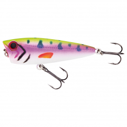 Jackson Shad The Trout (Rainbow Trout) at low prices
