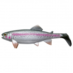 Jackson Shad The Trout (Rainbow Trout)