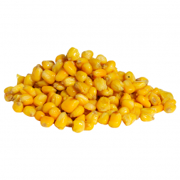 Maros Mix Particles (Maize/Wheat/Nutmeg) 