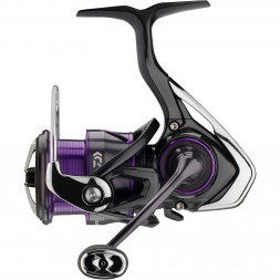 New Daiwa Prorex TW 100SV-L LHW Baitcaster Reel - 17PXTWS100SV-L :  : Sports & Outdoors