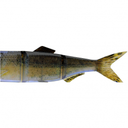  Hybrid Swimbait Replacement Tails (3D Baby Zander)