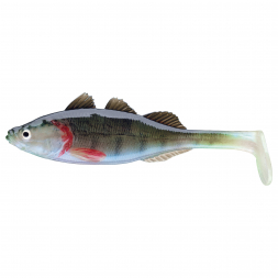  Live Perch (Blue Perch)