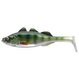  Live Perch (Green Perch)