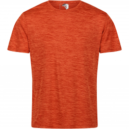 Regatta Men's Fingal Edition Marl T-Shirt (rusty orange)