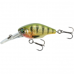 Petit Gravity Crank DR (Holo Perch)