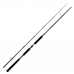 Shimano Sea Fishing Rod Beast Master Pilk (Pirk)